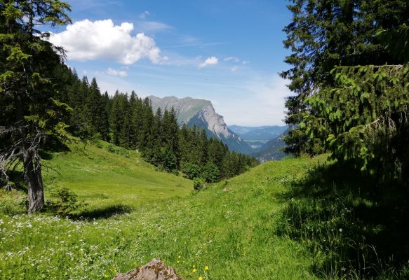 Unsere Angebote für Sie